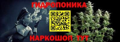 крисы Северобайкальск