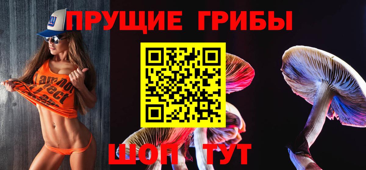 магазин  наркотиков  Псилоцибиновые грибы Psilocybine cubensis  Вход с VPN  Новочебоксарск 