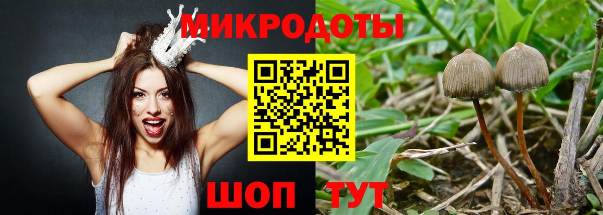 Псилоцибиновые грибы ЛСД Новочебоксарск